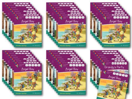 Long Vowel Spellings Readers SET OF 6-SK - Image 1