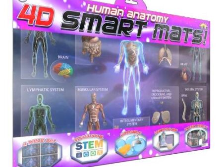 Popar Toys Smart Mat - Human Anatomy (pk 4)-CICA - Image 1