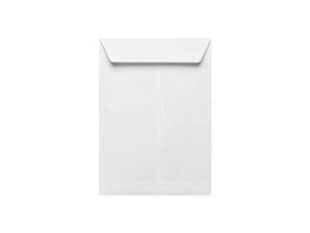 Envelope White 12 x 10 inches Box Of 250 Pcs - Image 1