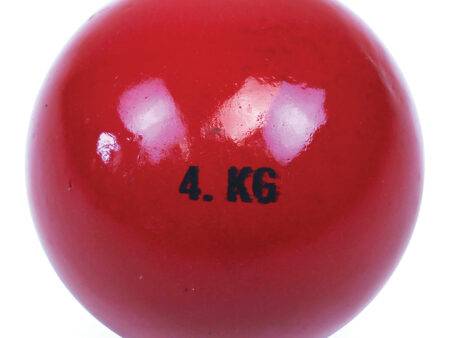 CAST IRON SHOT  4.00KG-BS - Image 1