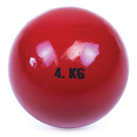 School Stationery Supplies CAST IRON SHOT 4.00KG-BS - Image 1
