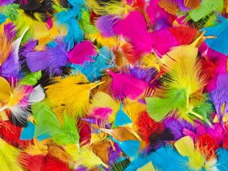 SCO FEATHERS BUMPER CLASSPACK 1PC-DR - Image 1