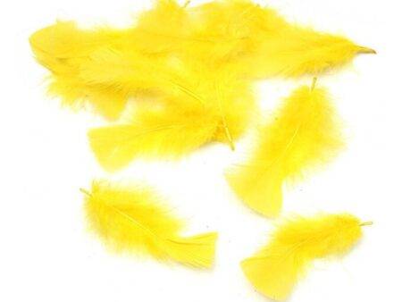 SCO FEATHERS YELLOW 25G-DR - Image 1