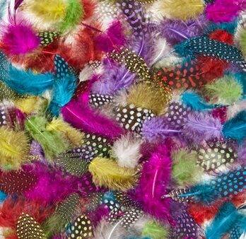 SCO FEATHERS SMALL SPOT PLUME 7G-DR - Image 1