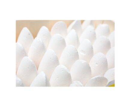 SCO CHUNKI CHALKS WHITE 40PCS-DR - Image 1