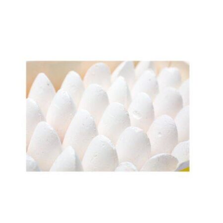 SCOLA CHUNKI CHALKS WHITE 40PCS - Image 1