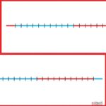 School Stationery Supplies