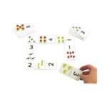 School Stationery Supplies