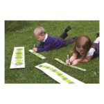 School Stationery Supplies