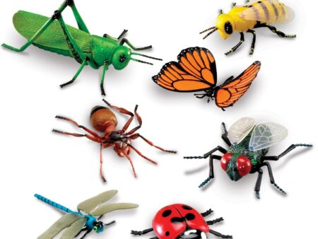 Jumbo Insects - Image 1