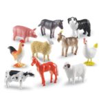 School Stationery Supplies