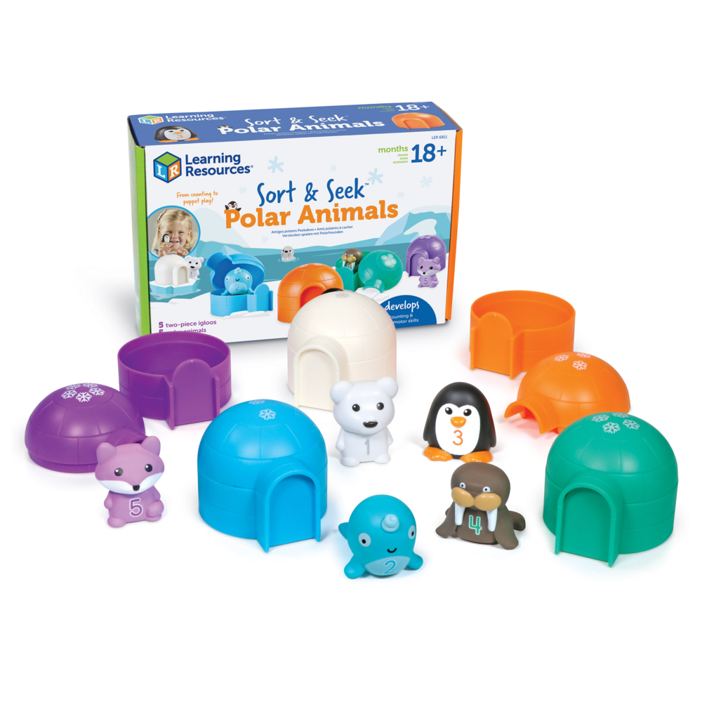 School Stationery Supplies