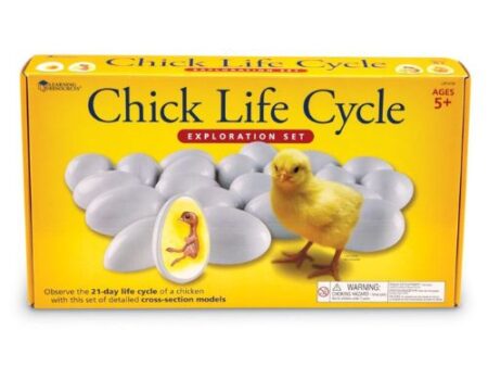 Chick Life Cycle Exploration Set - Image 1