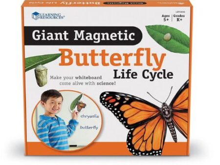 Giant Magnetic Butterfly Life Cycle - Image 1