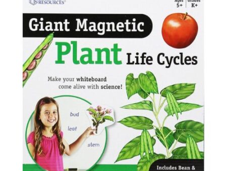 Giant Magnetic Plant Life Cycle - Image 1