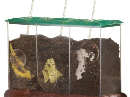Now You See It, Now You Don't? See-Through Compost Container - Image 1