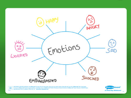 A4 Mind Map Drywipe Boards - Image 1