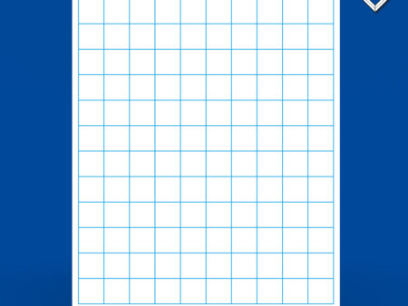 A4 SUPERTOUGH Gridded Drywipe Boards - Image 1