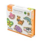 School Stationery Supplies