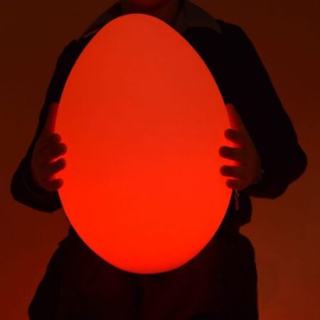 Colour Changing Egg ( Large ) (interchangeable EU/UK adapter) - Image 1
