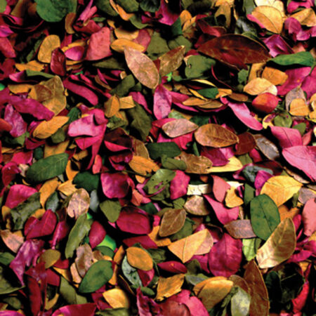 School Stationery Supplies Small Coloured Leaves-EYR - Image 1