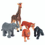 School Stationery Supplies
