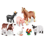 School Stationery Supplies
