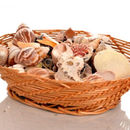 School Stationery Supplies Mixed Shells Pack 900g - Image 1