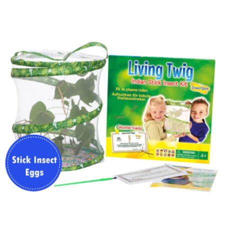 Stick Insect Kit-EYR - Image 1