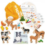 School Stationery Supplies