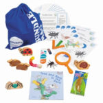 School Stationery Supplies
