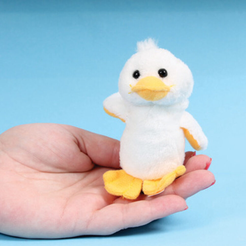 ZX40__48483.1733805321.jpg School Stationery Supplies