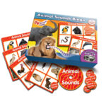 School Stationery Supplies