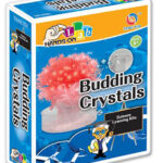 School Stationery Supplies