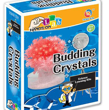 Smart Materials And Fun Science : Scientific Experiments, Budding Crystals