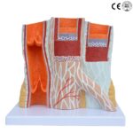 School Stationery Supplies