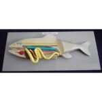 School Stationery Supplies
