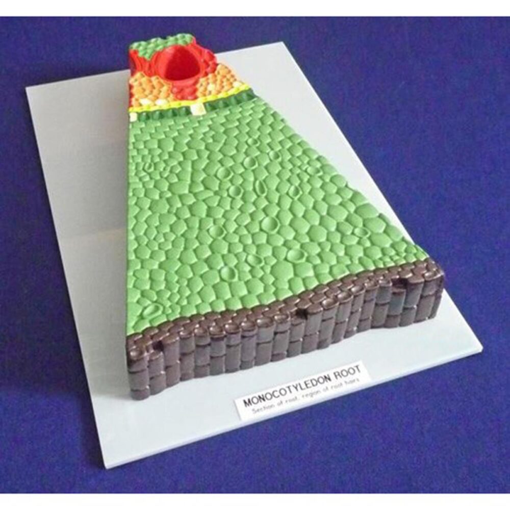 School Stationery Supplies