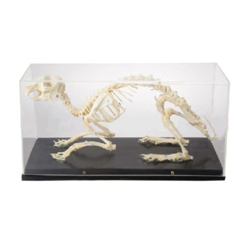 Science School Stationery Supplies