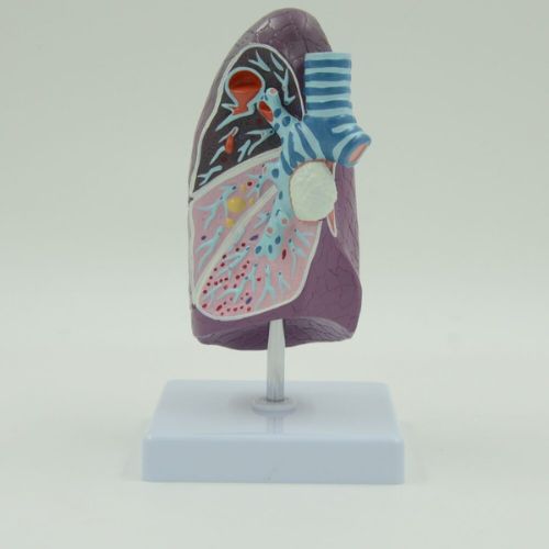 Science School Stationery Supplies