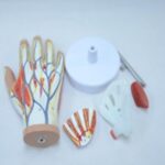 School Stationery Supplies
