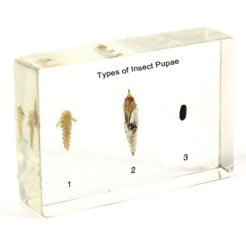 Science School Stationery Supplies