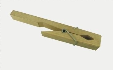 School Stationery Supplies