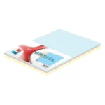 Bristol Card